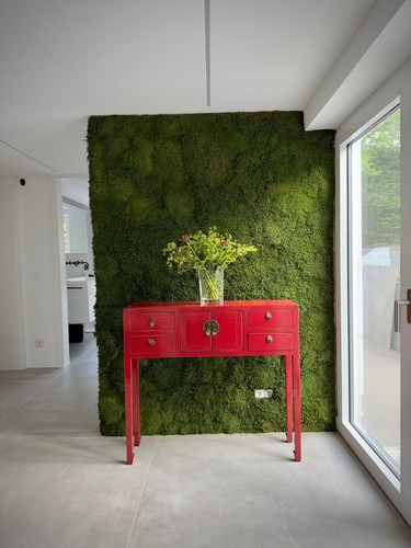 China konsole sideboard - konsole,